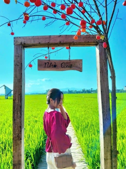 Nguyễn Trần Thị Thu Thảo