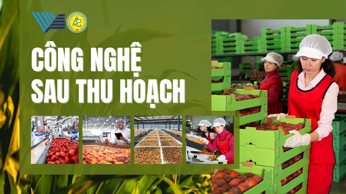 Công nghệ sau thu hoạch